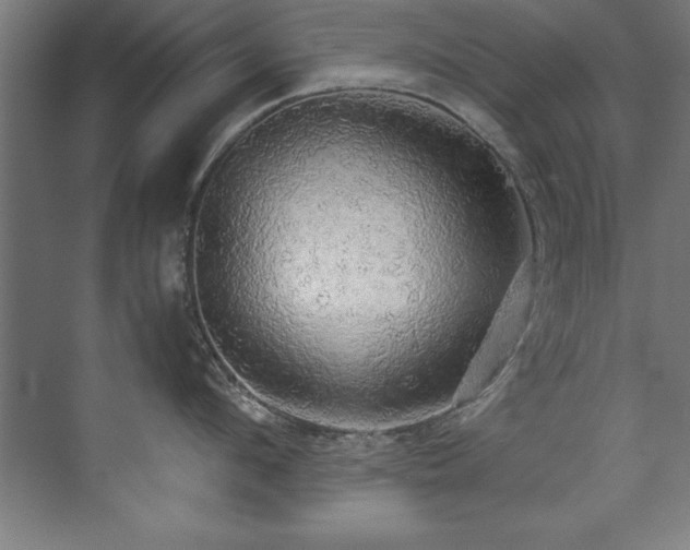 X0000072520912200607141154