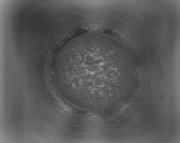 X0000072520913200607141154