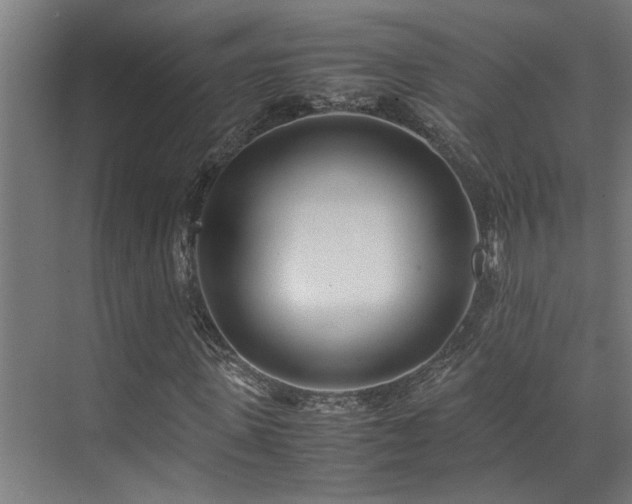 X0000072520915200607141154