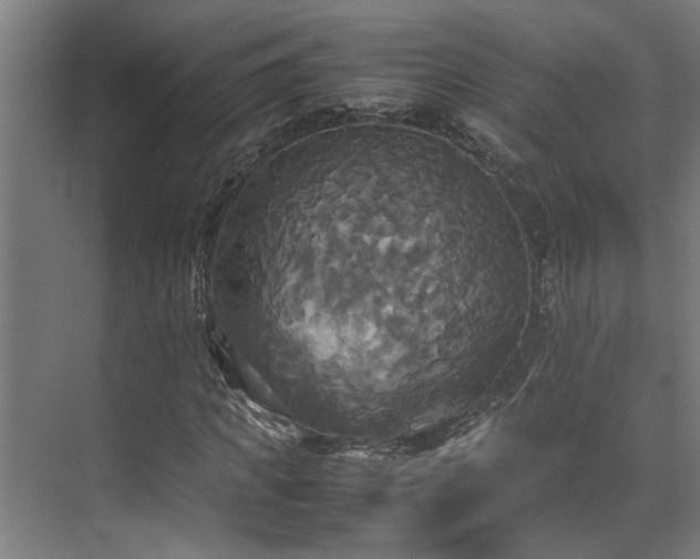 X0000072520917200607141154