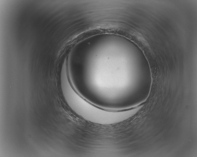 X0000072520920200607141154