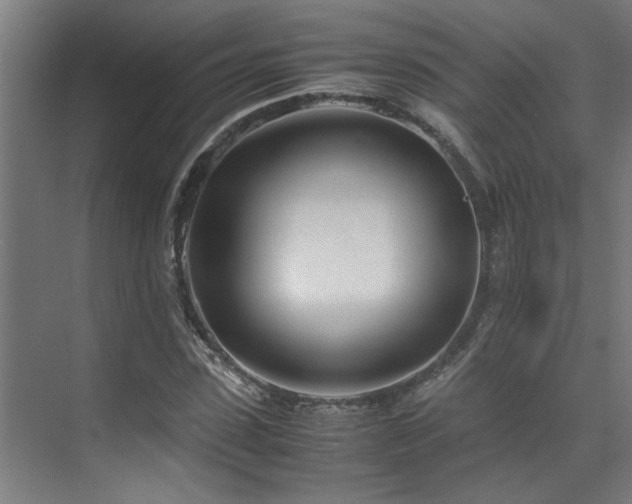 X0000072520923200607141154