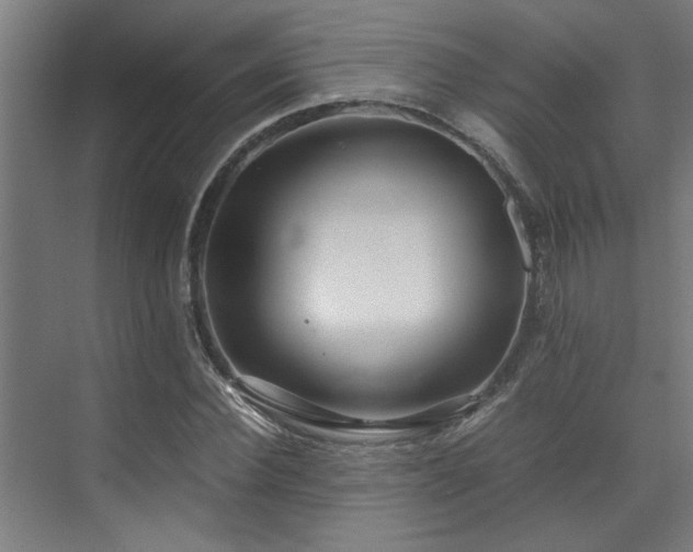 X0000072520924200607141154