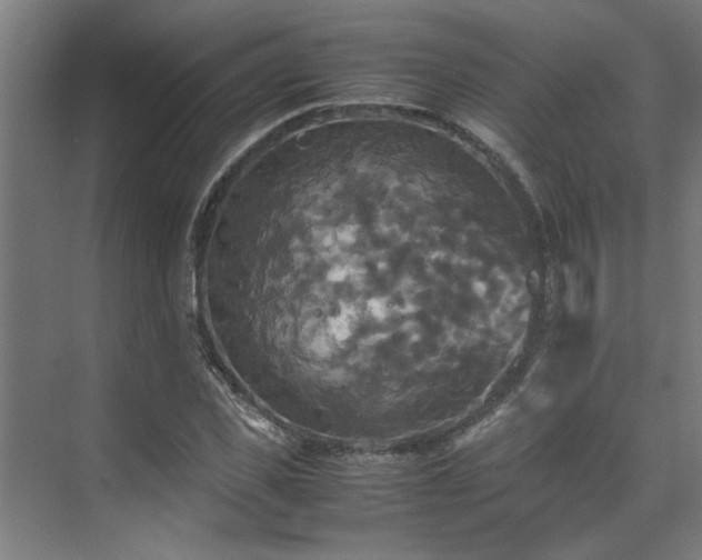 X0000072520925200607141154