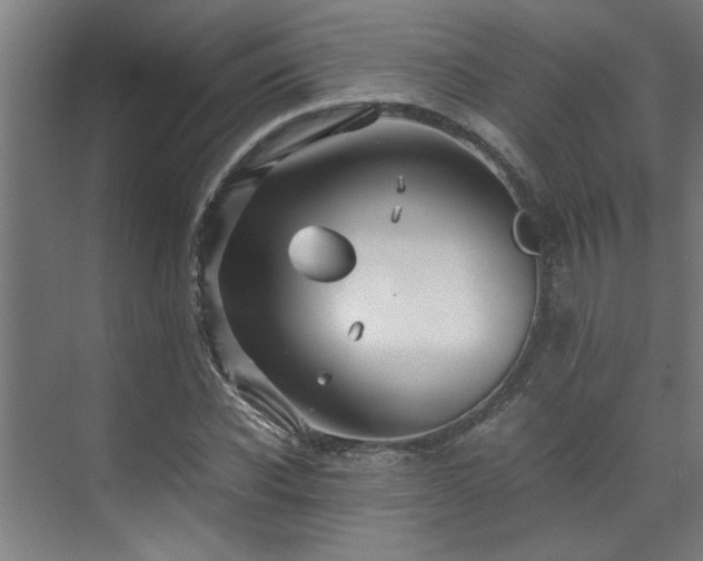 X0000072520926200607141154