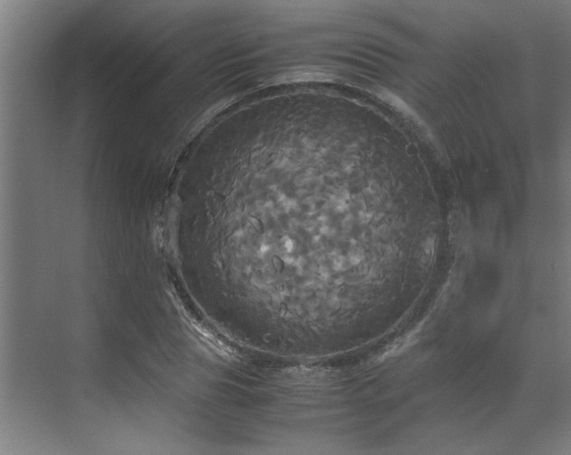 X0000072520929200607141154