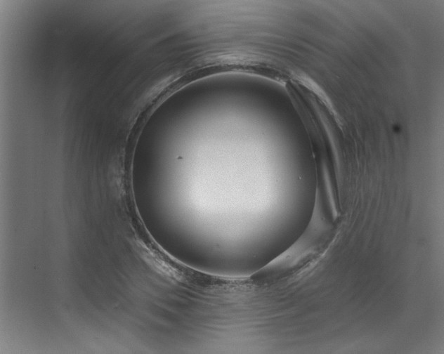 X0000072520930200607141154