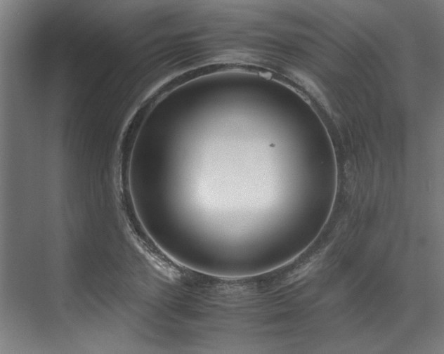 X0000072520931200607141154