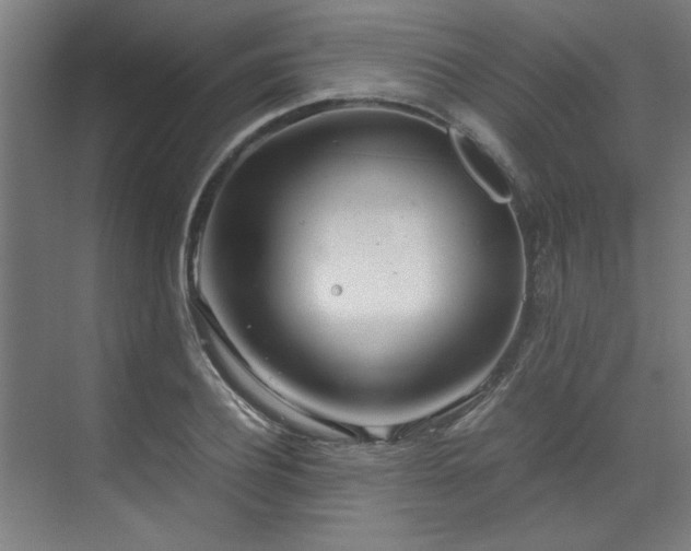 X0000072520932200607141154