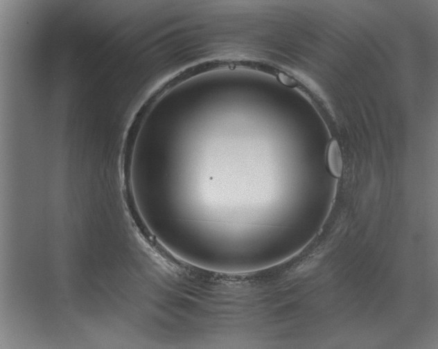 X0000072520935200607141154