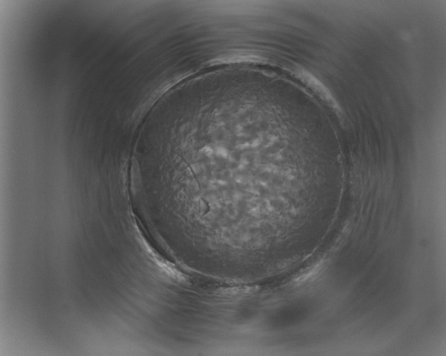 X0000072520937200607141154