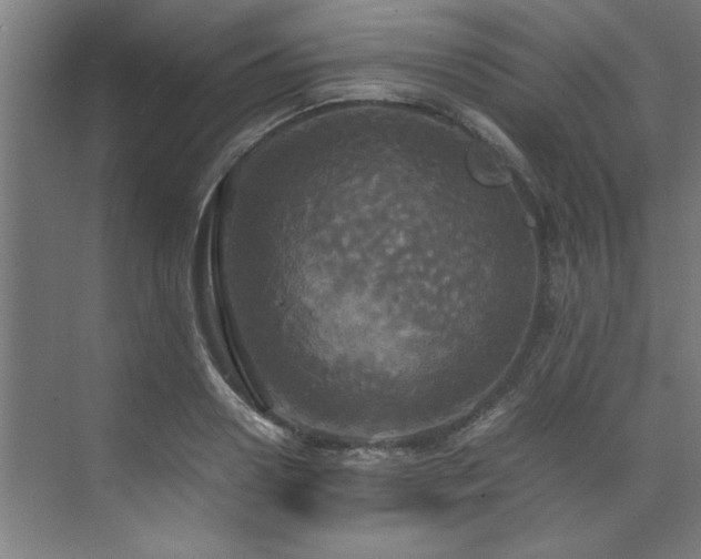 X0000072520938200607141154