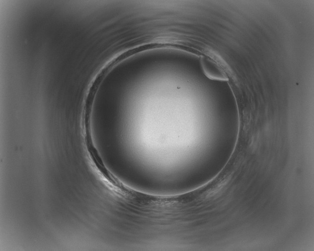 X0000072520939200607141154