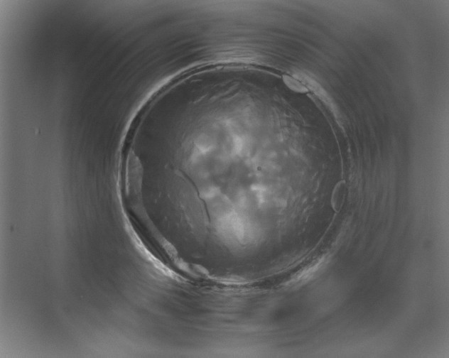 X0000072520941200607141154