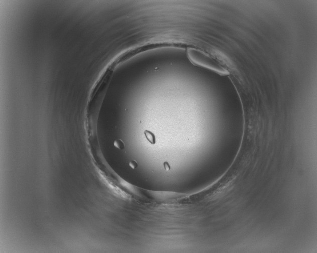 X0000072520942200607141154