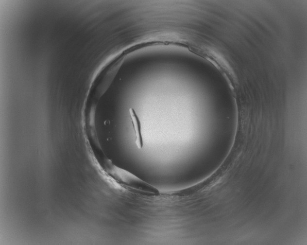 X0000072520944200607141154