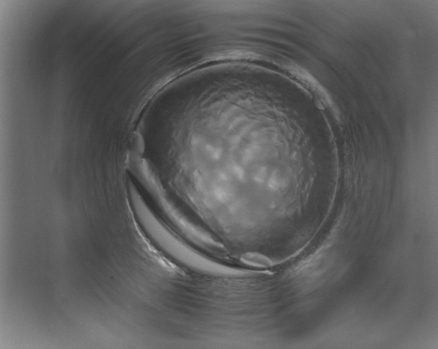 X0000072520945200607141154