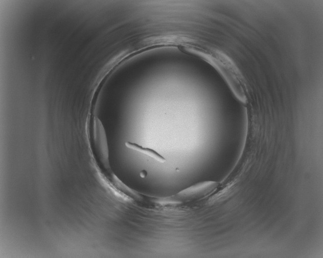 X0000072520946200607141154