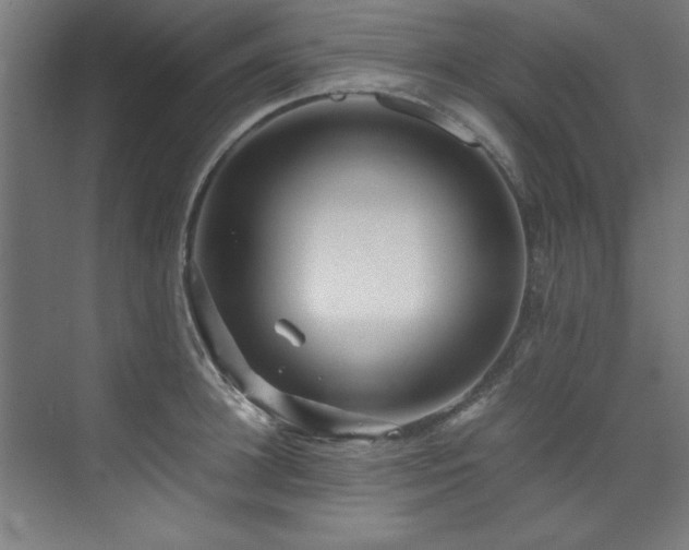 X0000072520948200607141154