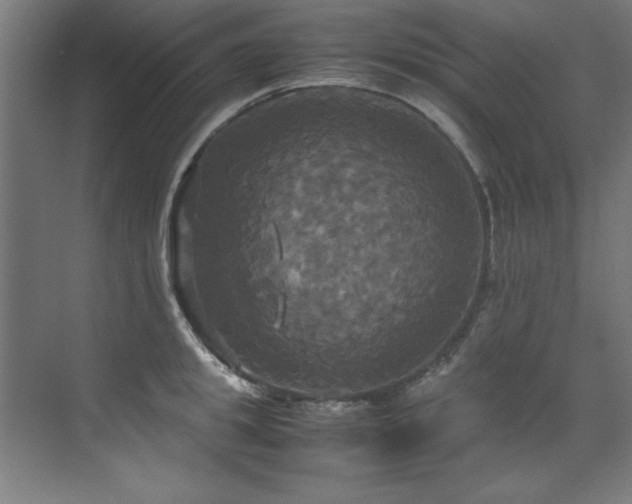 X0000072520949200607141154