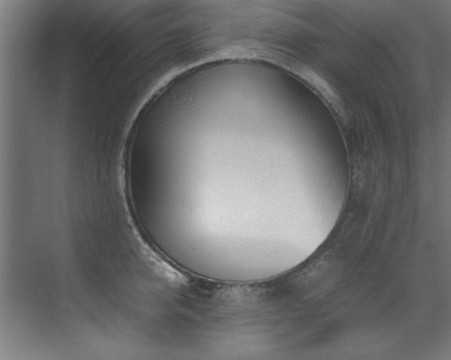 X0000072520950200607141154