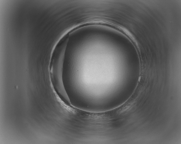 X0000072520951200607141154