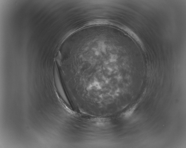 X0000072520953200607141154