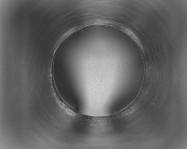 X0000072520954200607141154