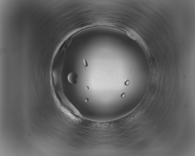 X0000072520955200607141154