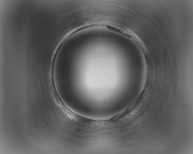 X0000072520956200607141154