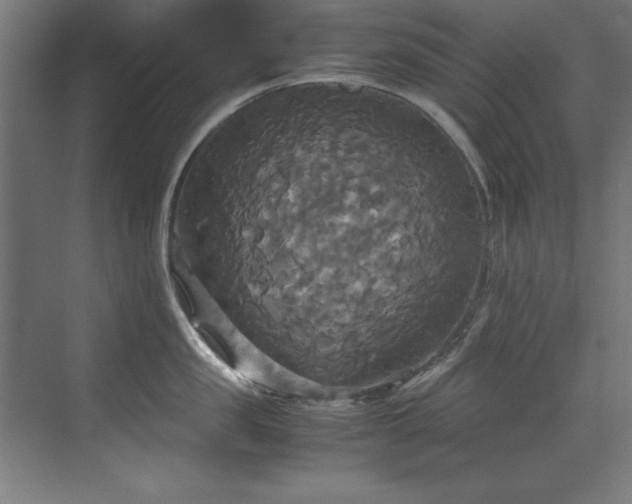 X0000072520957200607141154