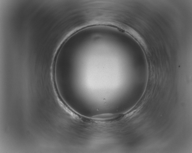 X0000072520958200607141154