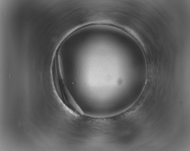 X0000072520959200607141154