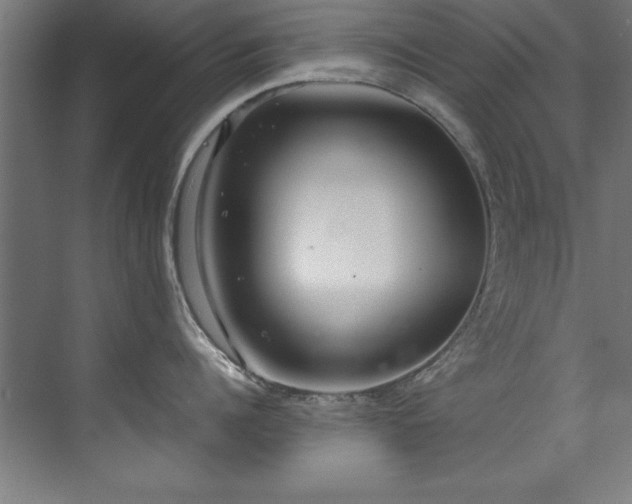 X0000072520960200607141154