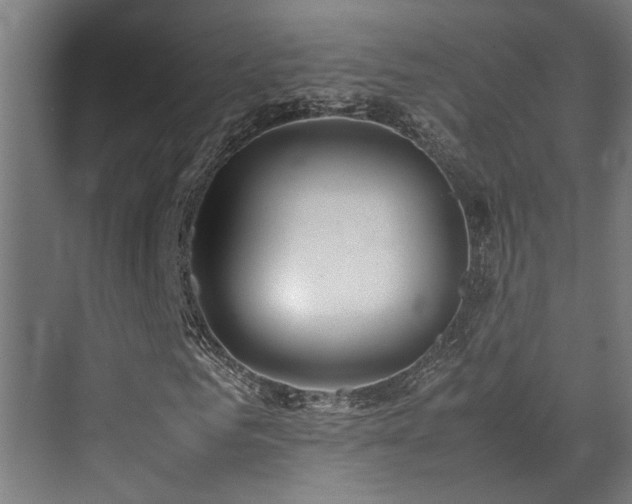 X0000072520961200607141154