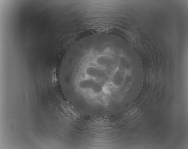 X0000072520962200607141154