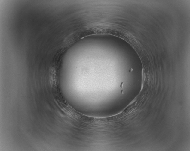 X0000072520964200607141154