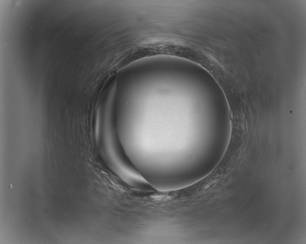 X0000072520965200607141154