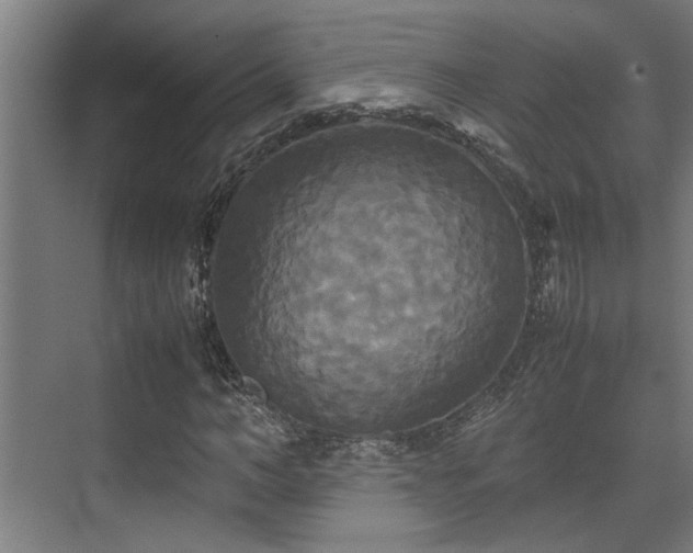 X0000072520966200607141154