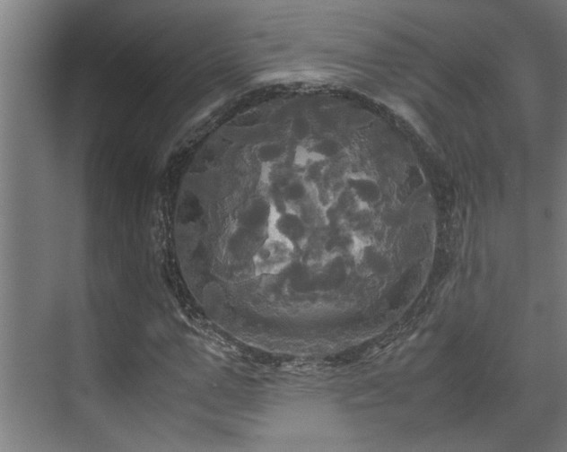 X0000072520967200607141154