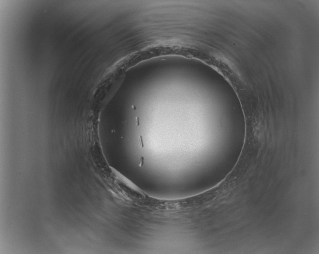 X0000072520968200607141154