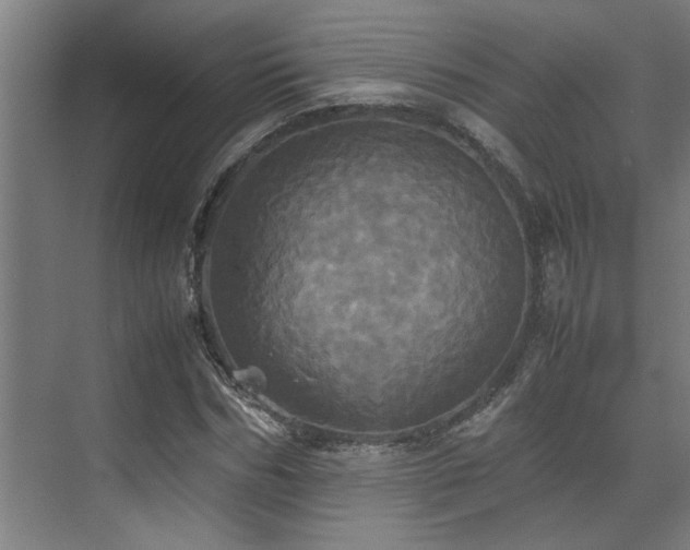 X0000072520970200607141153