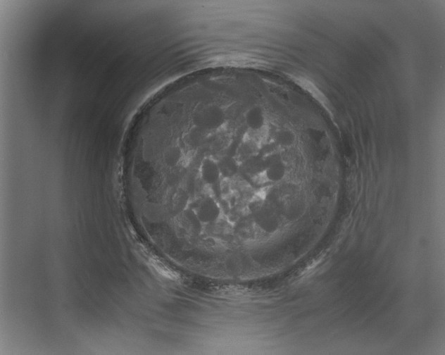 X0000072520971200607141153