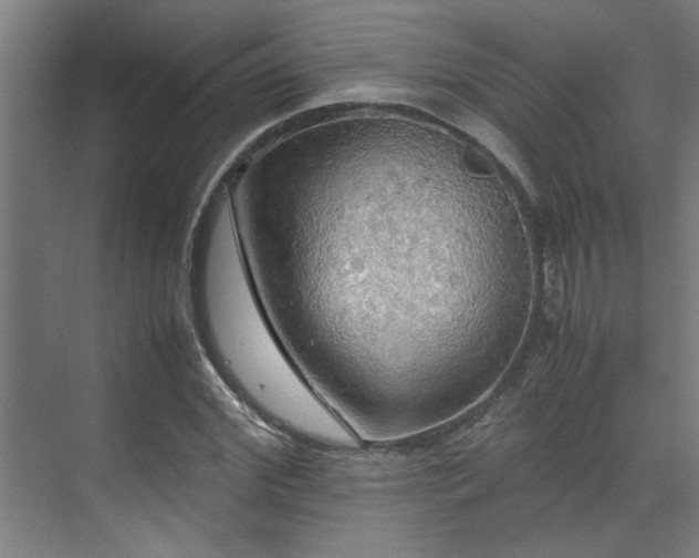 X0000072520972200607141153