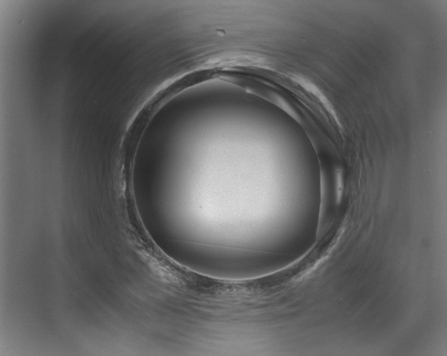 X0000072520973200607141153