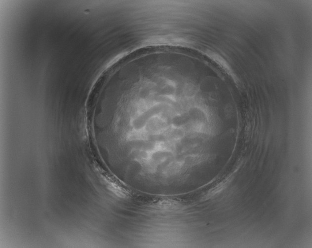 X0000072520974200607141153