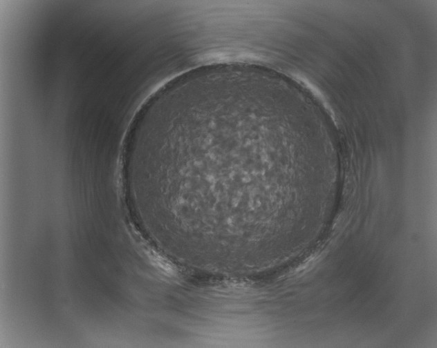 X0000072520975200607141153