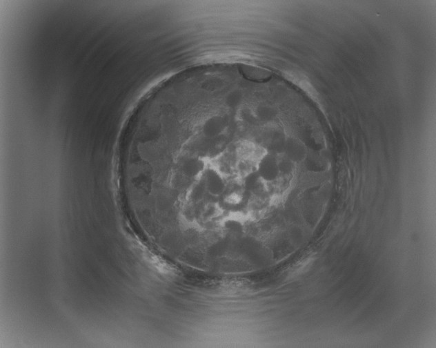 X0000072520979200607141153