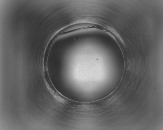 X0000072520980200607141153