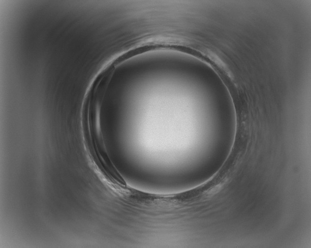 X0000072520981200607141153